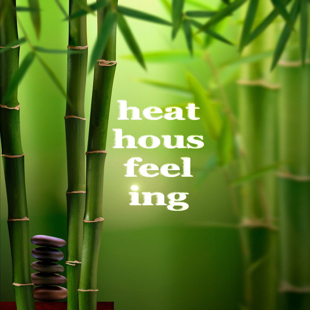Биг бамбук big bamboo vip. Бамбук. Бамбук с камнями вертикальные. Красивый бамбук. Зеленый бамбук.