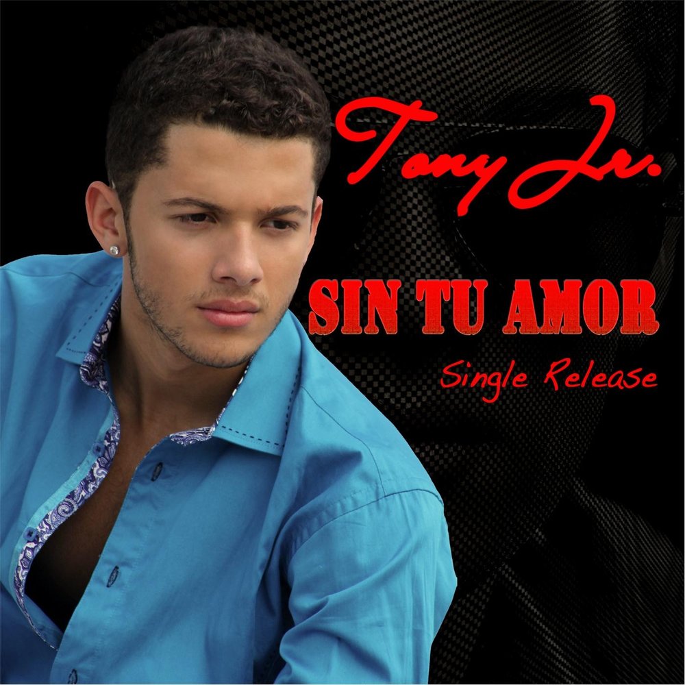 Sin tu amor