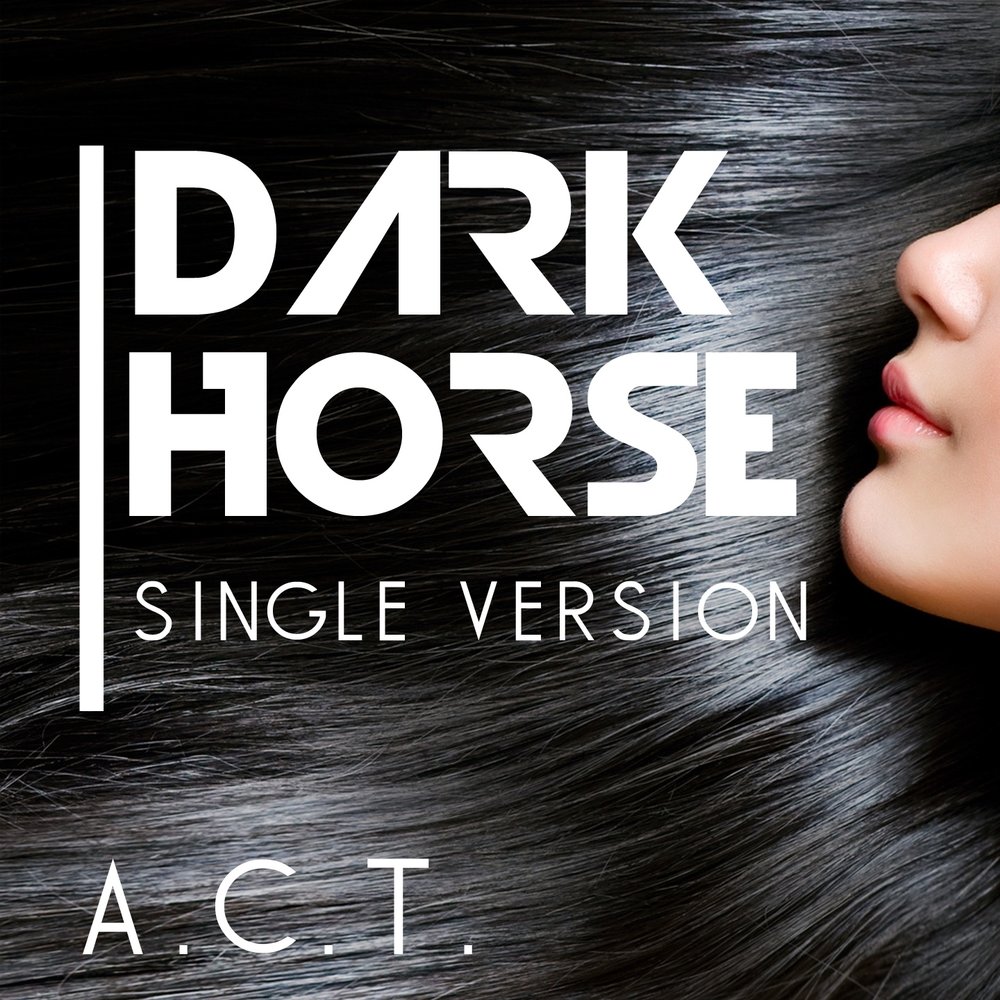 Песня dark horse. Dark Horse музыкант лейбл. Dark Horse Remix mp3. Перевод песни дарк Хорс.