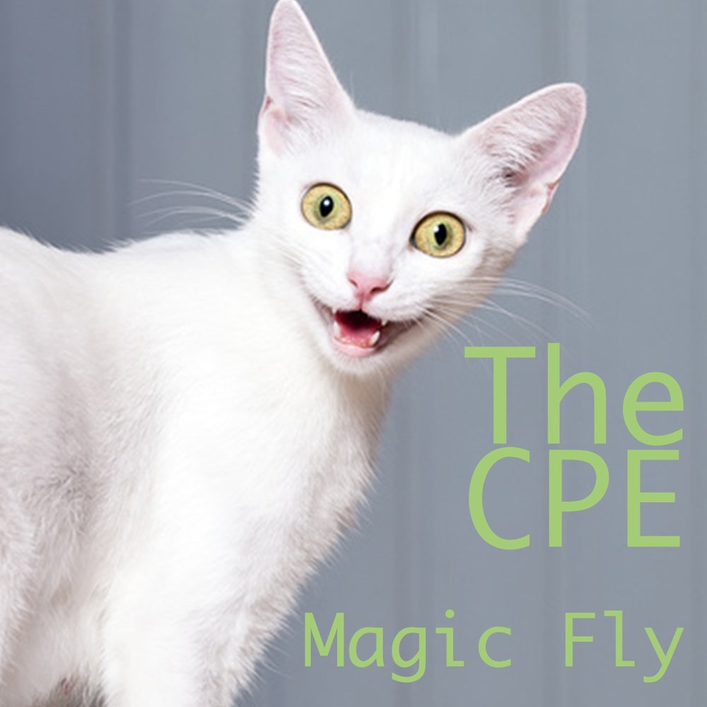 Magic fly remix. Clever Cat. Strong Cat.