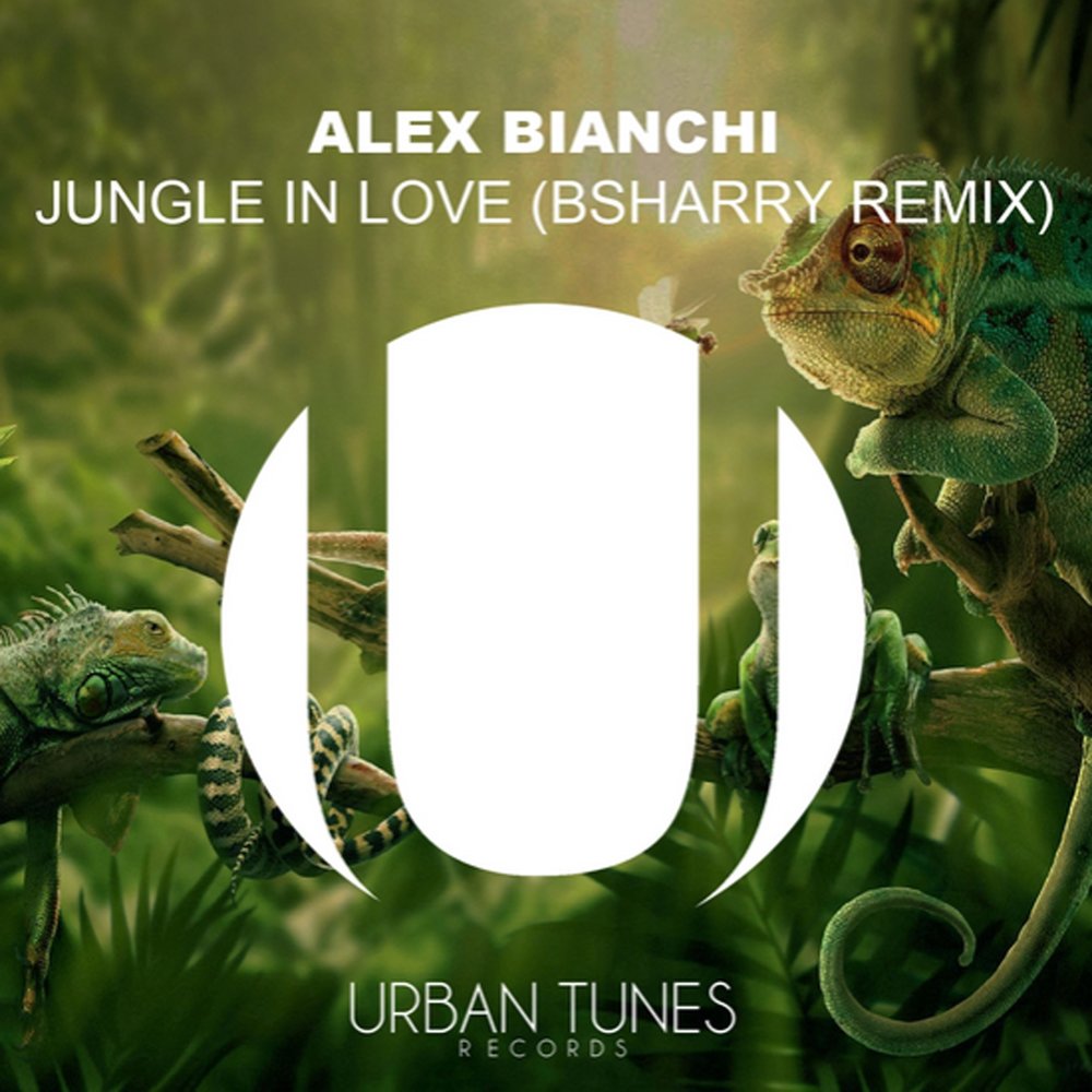 Jungle remix. Love in Jungles. JINGLEOFLOVE. Love is a Jungle песня. Sandra first Lullaby Remix Alex Jungle.