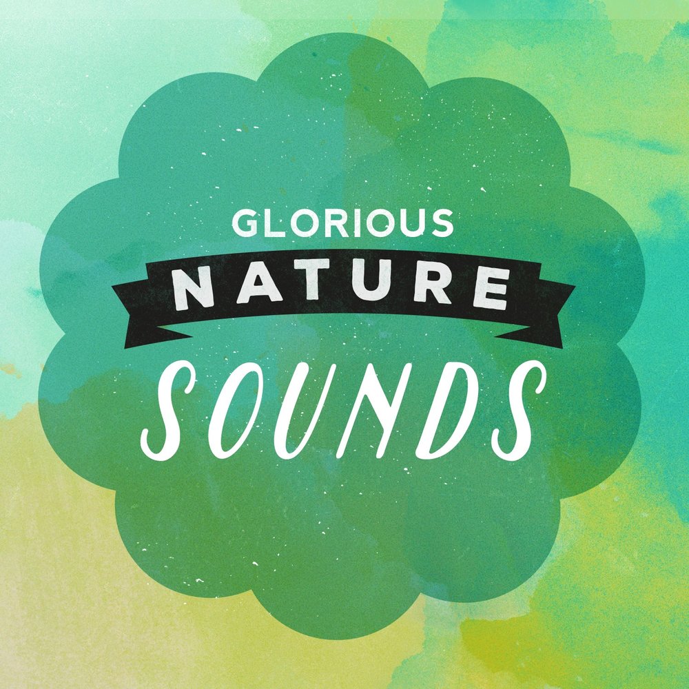 Nature song. Calm down nature.