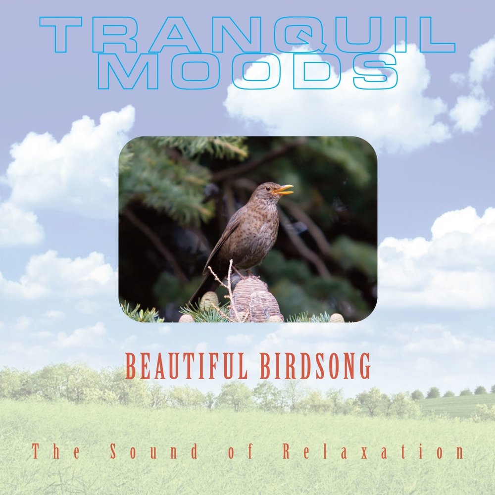 Книга звуки природы. Птицы. Звуки природы mp3 диск. Exploring Birdsong слушать.