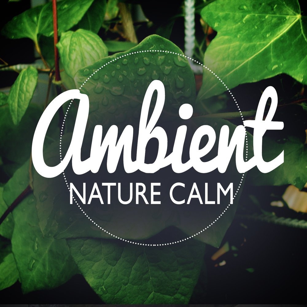 Nature mood. Sounds of nature. Natural Sounds. Ambient Sounds.