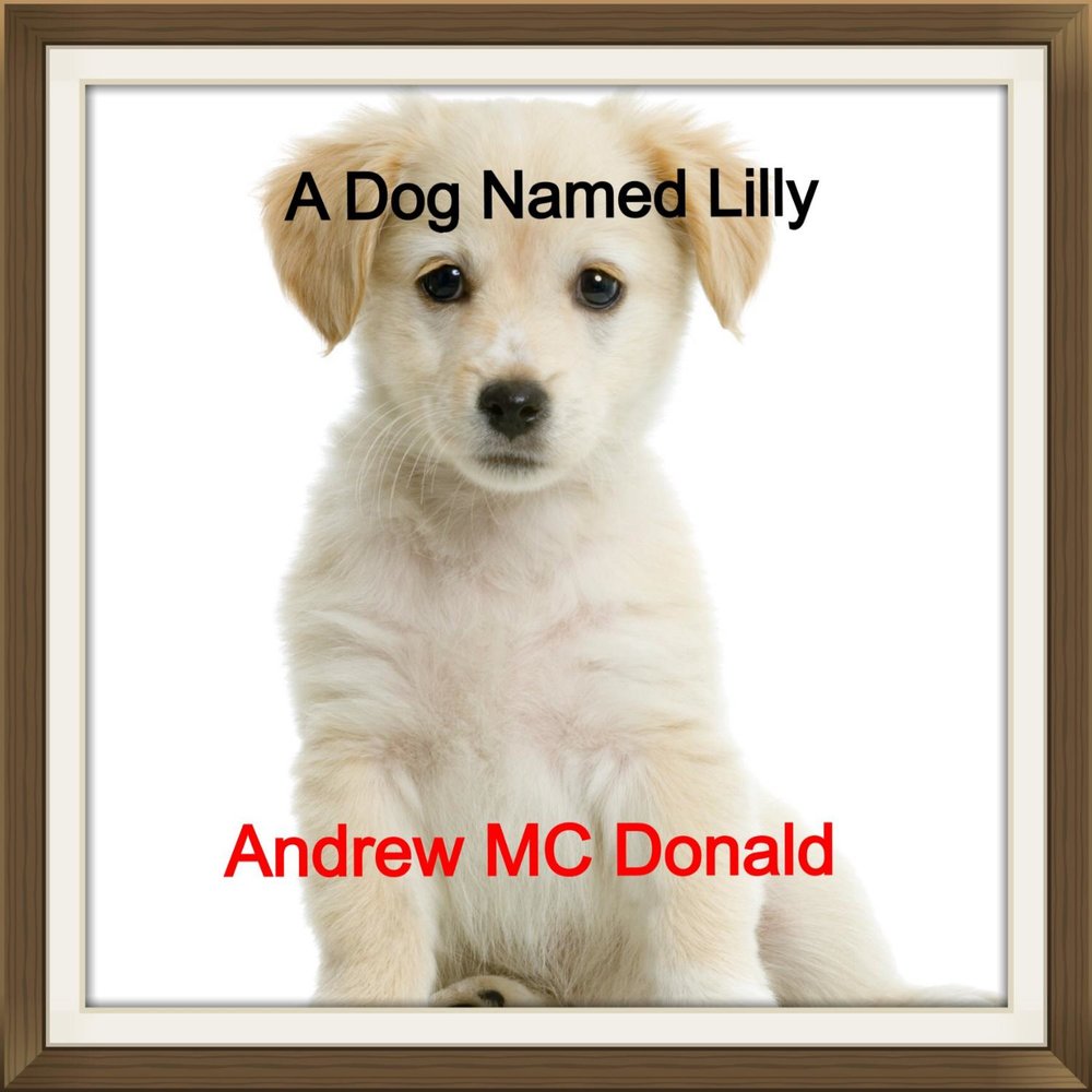 My name is a dog. Dog names. a dog named money. dog named cupcake.