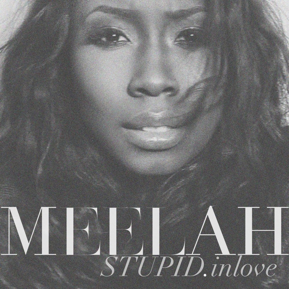 Stupid in love. Meelah Robbins.