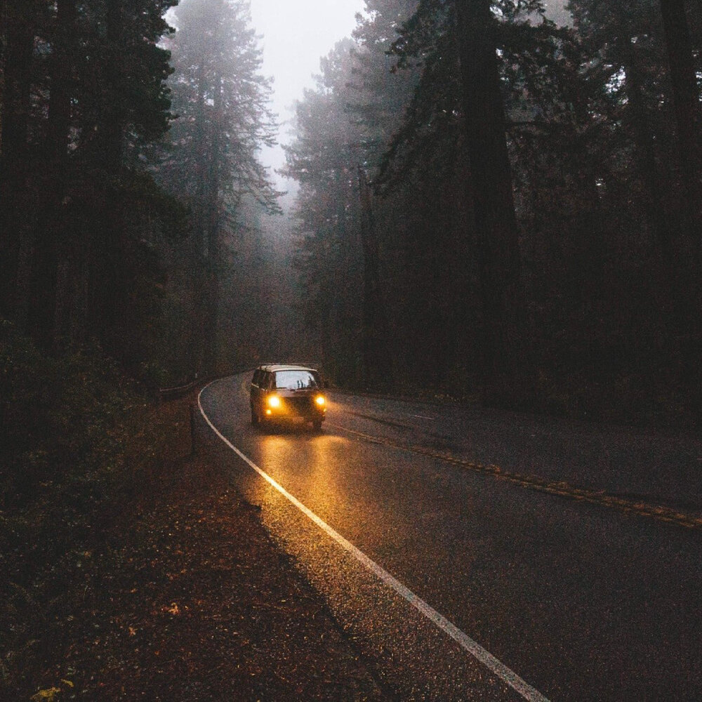 Ночная дорога в лесу
