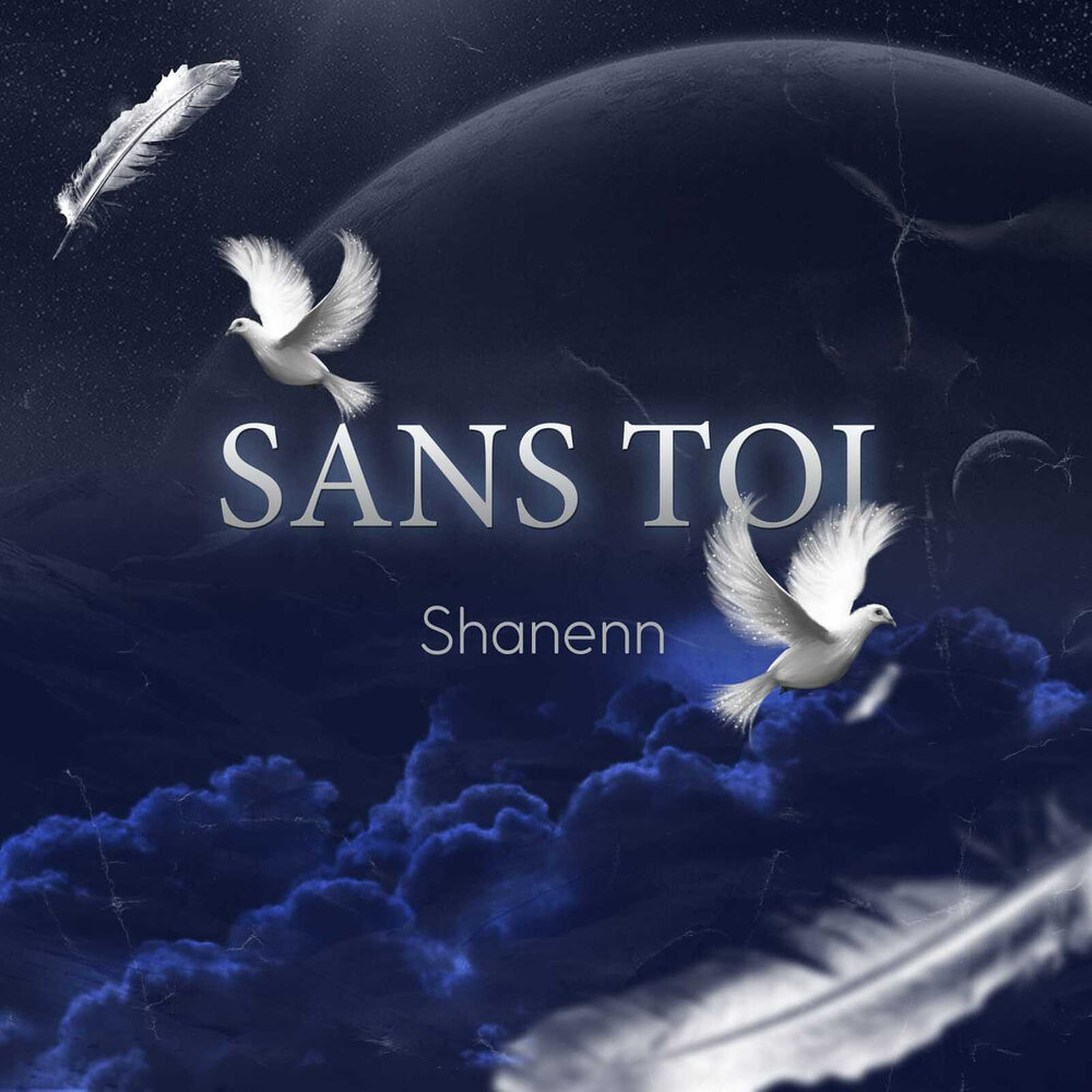 Sans toi