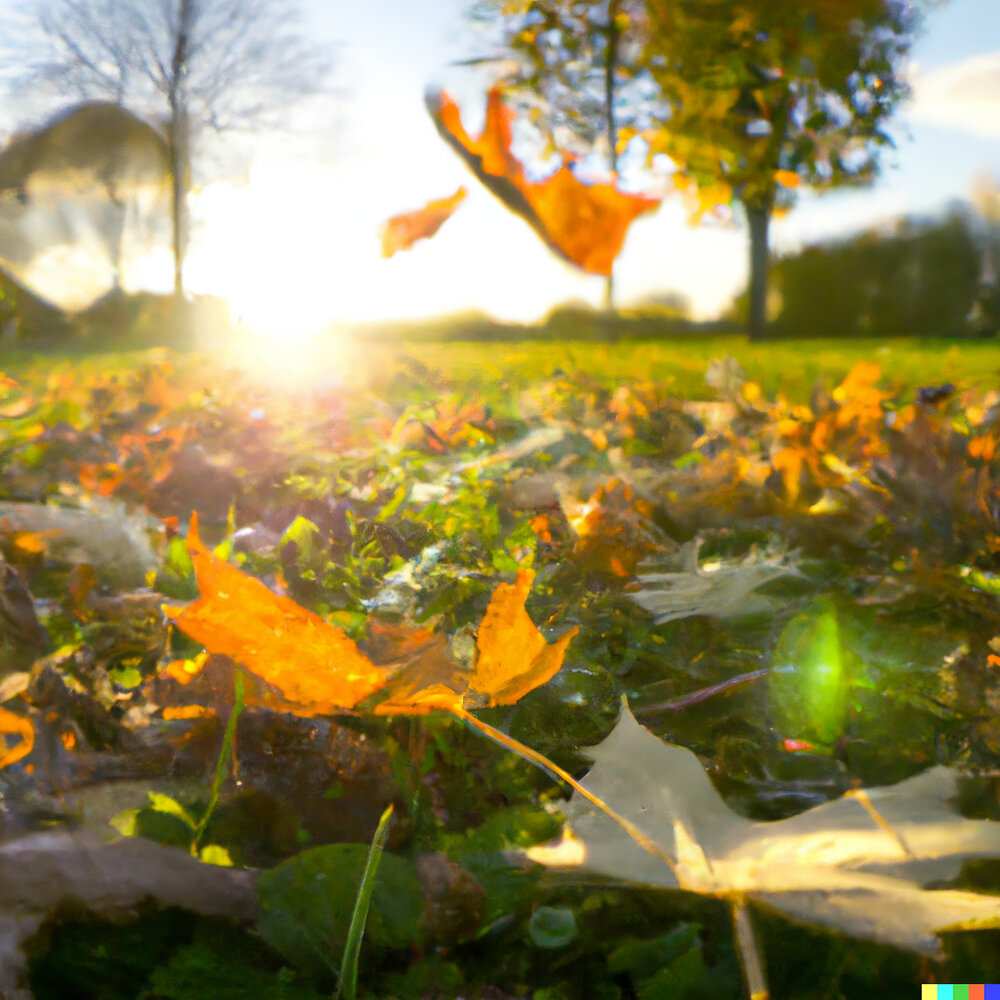 Leaves слушать