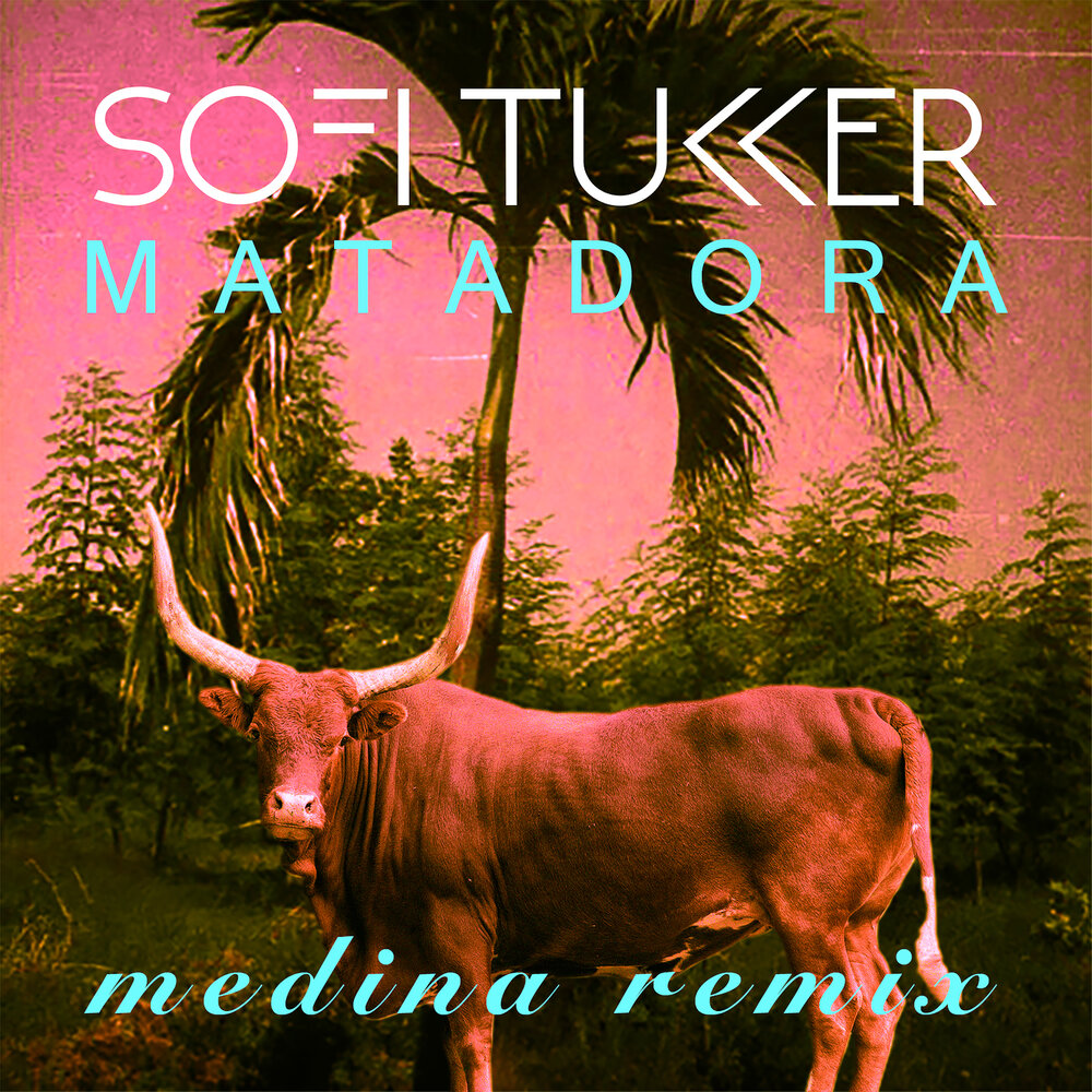 Sofi matadora. Matadora Medina Remix. Sofi Tucker Matadora. Sofi Tukker песни. Sofi Tukker Summer in New York.