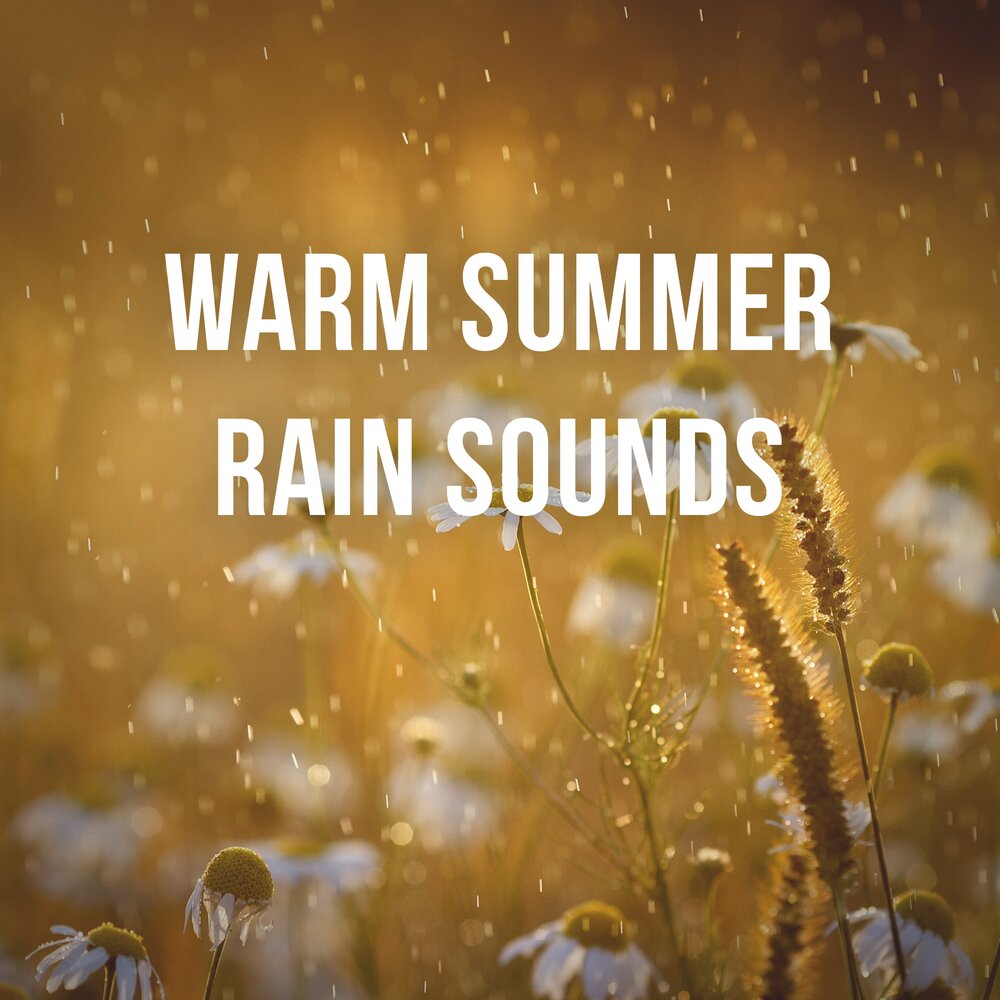 Warm summer. Rain Sounds 1 hour. Calm Rain. 1 Hour Rain.