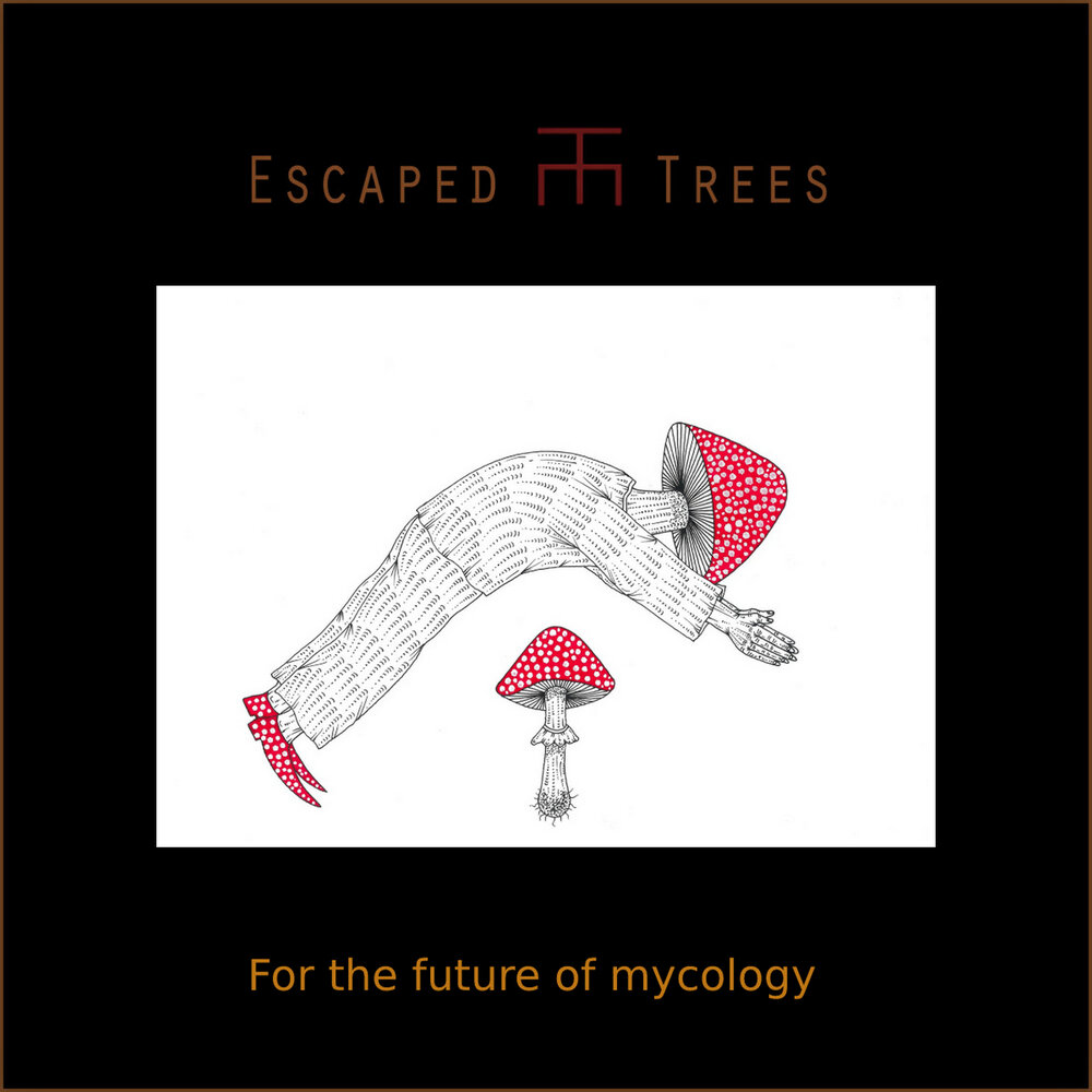 Escaped trees