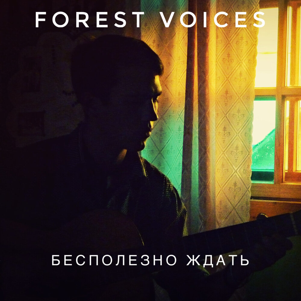 Музыку бесполезно. Бесполезно ждать Forest Voices. Картинки Forest Voice. Бесполезно ждать Forest Voices текст. Forest Voices группа.
