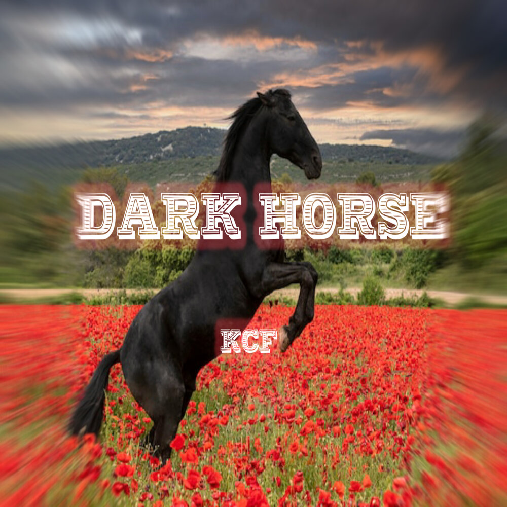 Horses альбом. Dark Horse. Dark Horse перевод. Лошади и музыка. Музыкальные лошадки.