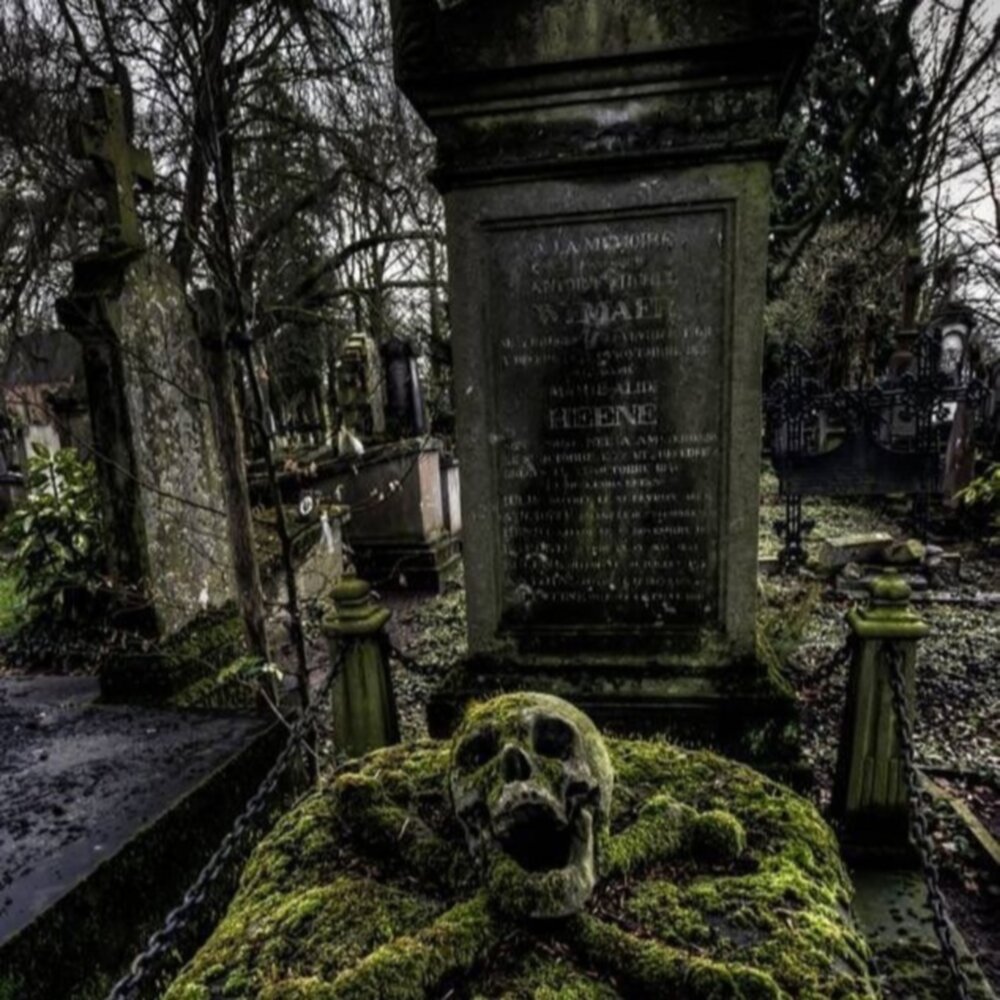 Поместье лавкрафт. Готическое кладбище. Жуткий склеп. Склепы новодевичье кладбище санкт-петербург. Страшные склепы.