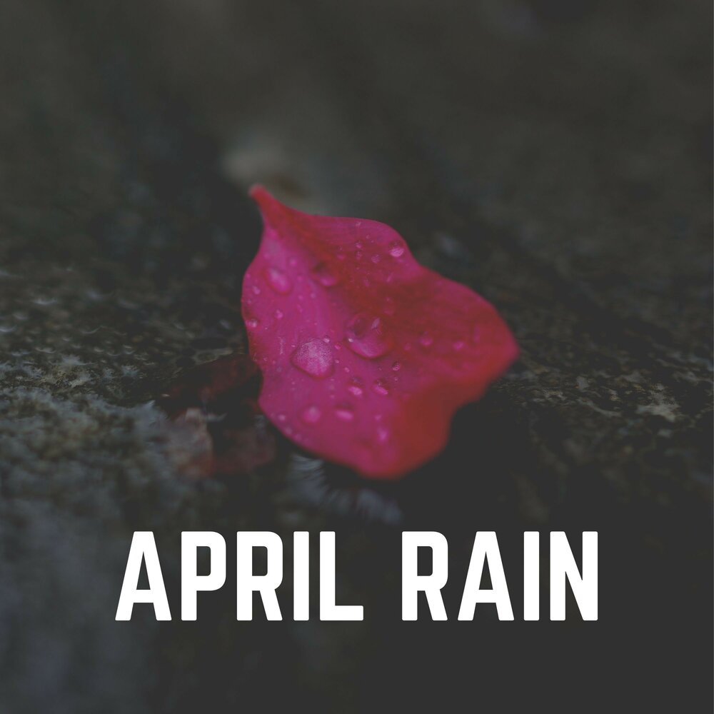 Дождь 7 апреля
