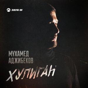 Хулиган