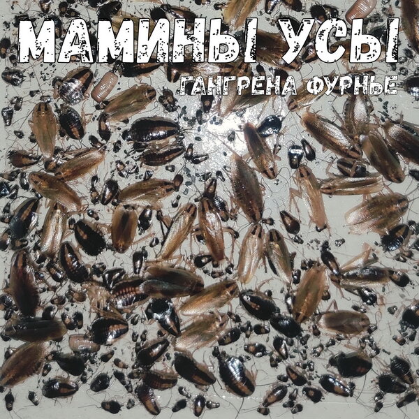 cover for track Гангрена Фурнье of artist Мамины Усы