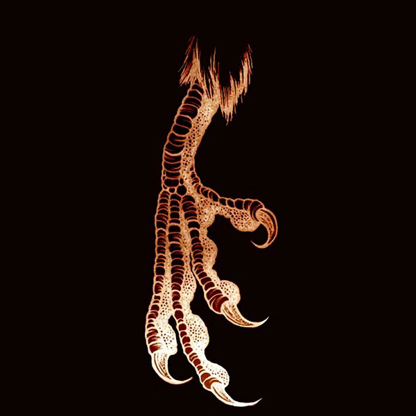 track-cover