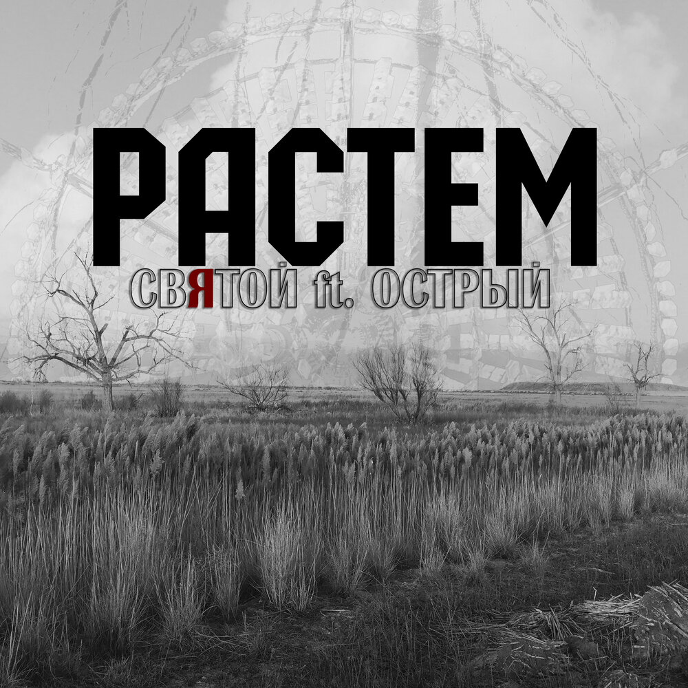 Слушать острых. Слушать острых. Ноа тейлор острые козырьки. Слушать острых. Пол андерсон peaky blinders.