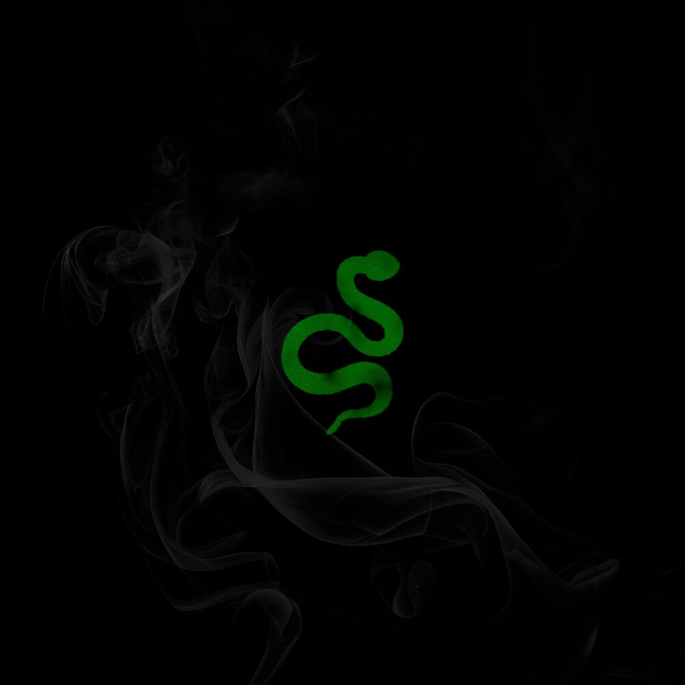 Snake песня. Песня про змейку. Выход змеи музыка. Music snake. Snake для песни.