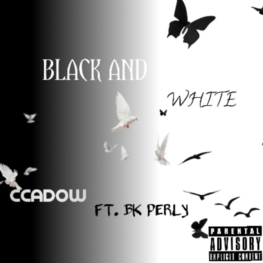 Black white mp3