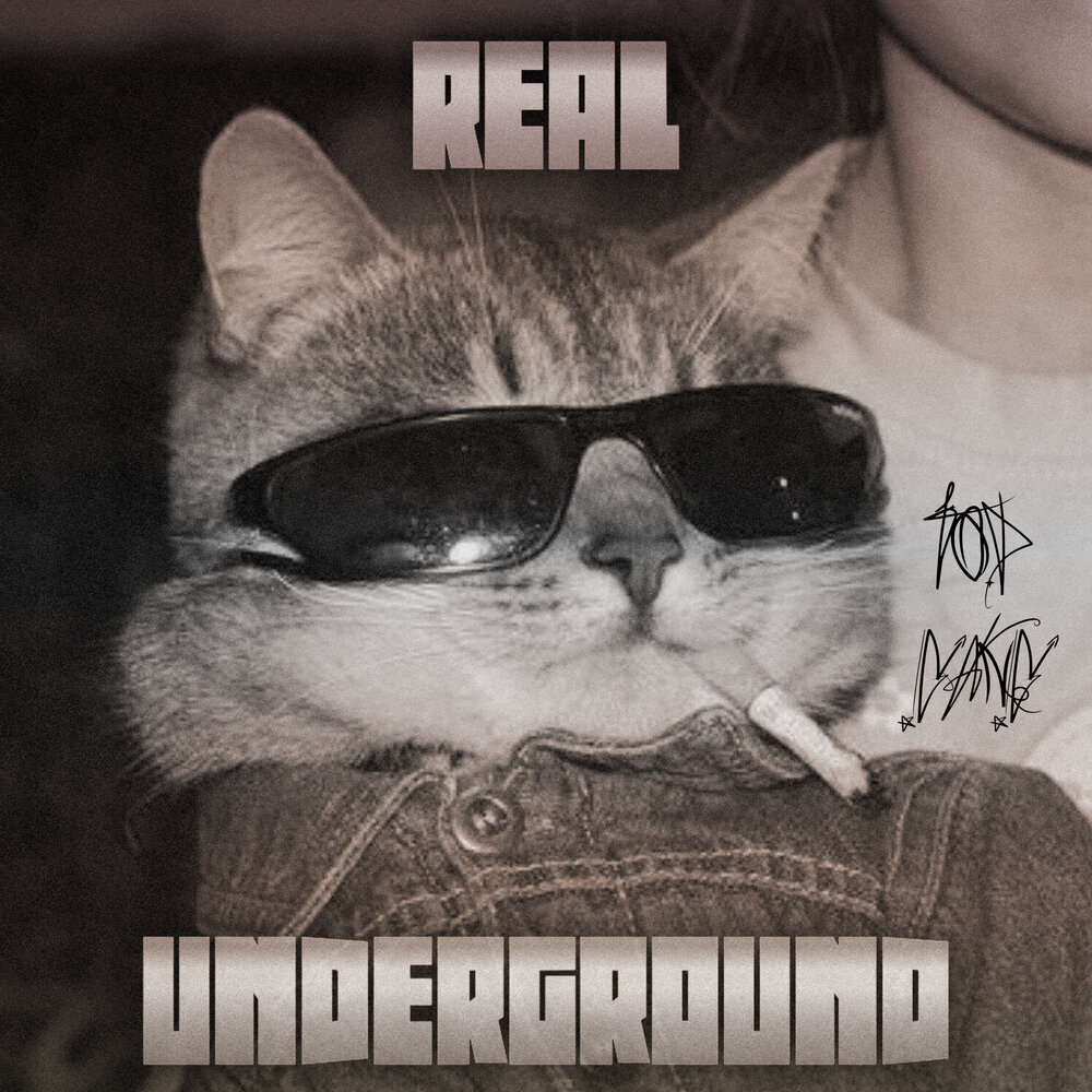 Real underground. Кот курит. Котик с очками Мем. Эстетичные фото на аву котики. Всратый кот PNG.