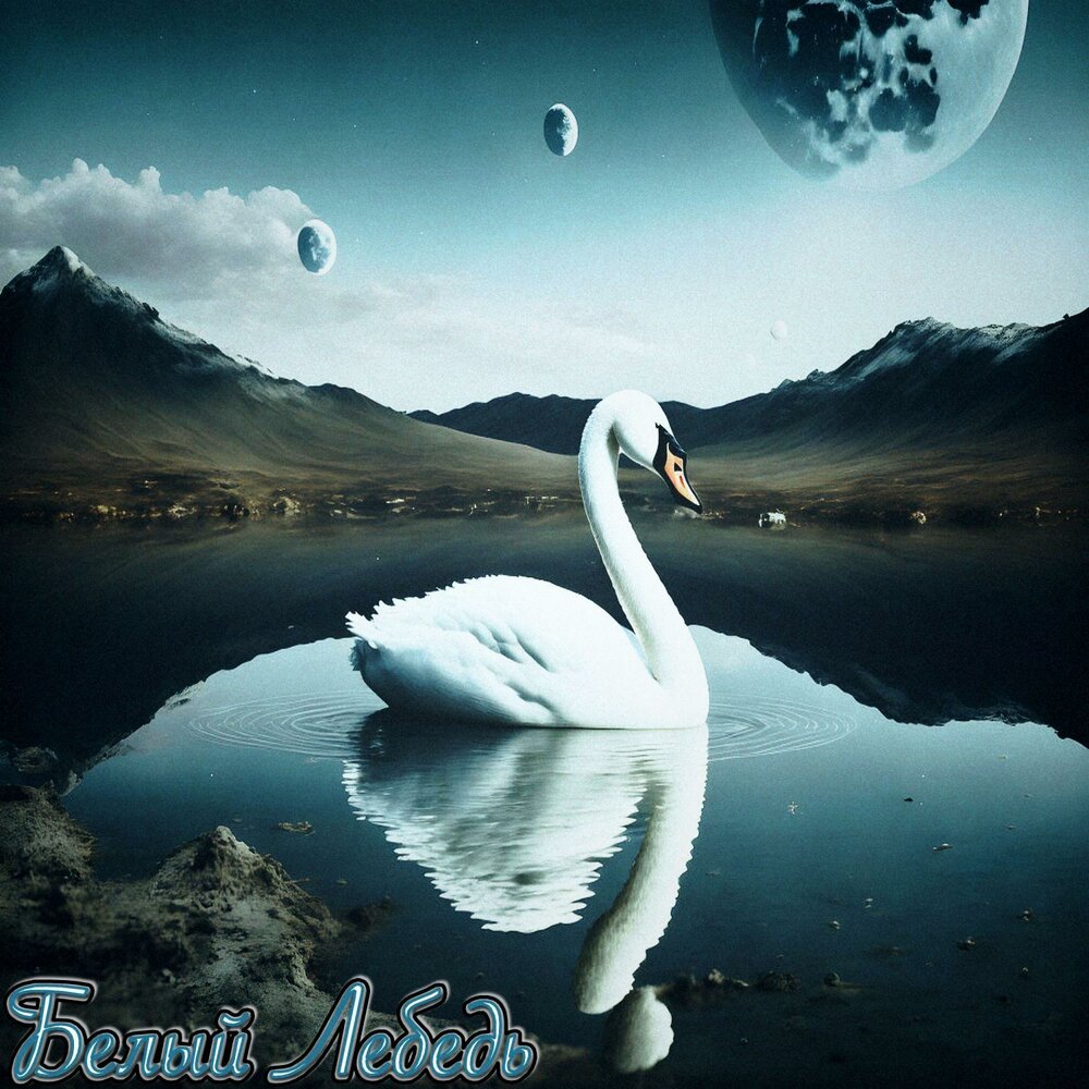 Луна лебединая. Лебеди под луной. Белый лебедь. Белый лебедь 2012. Фотоальбом лебеди.