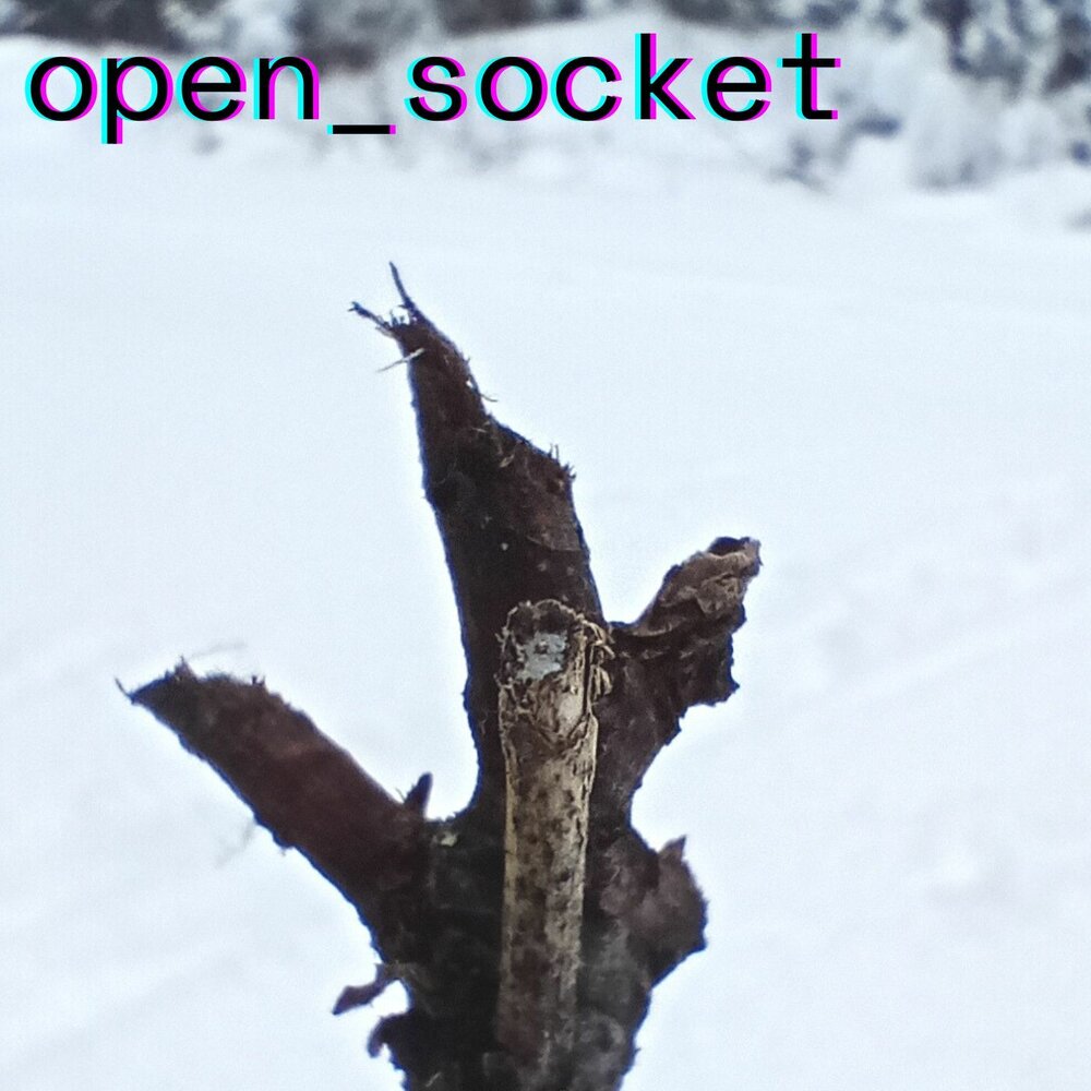 Open socket. Open socket