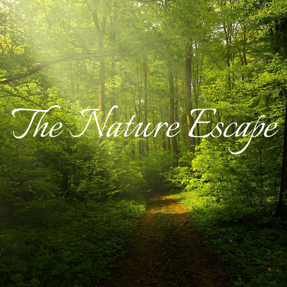 Nature escapes