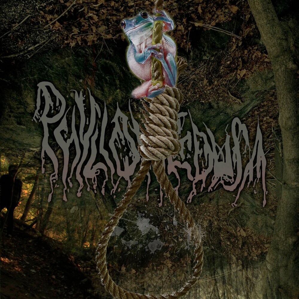 Who are witches. Phyllomedusa группа. Phyllomedusa bandcamp.