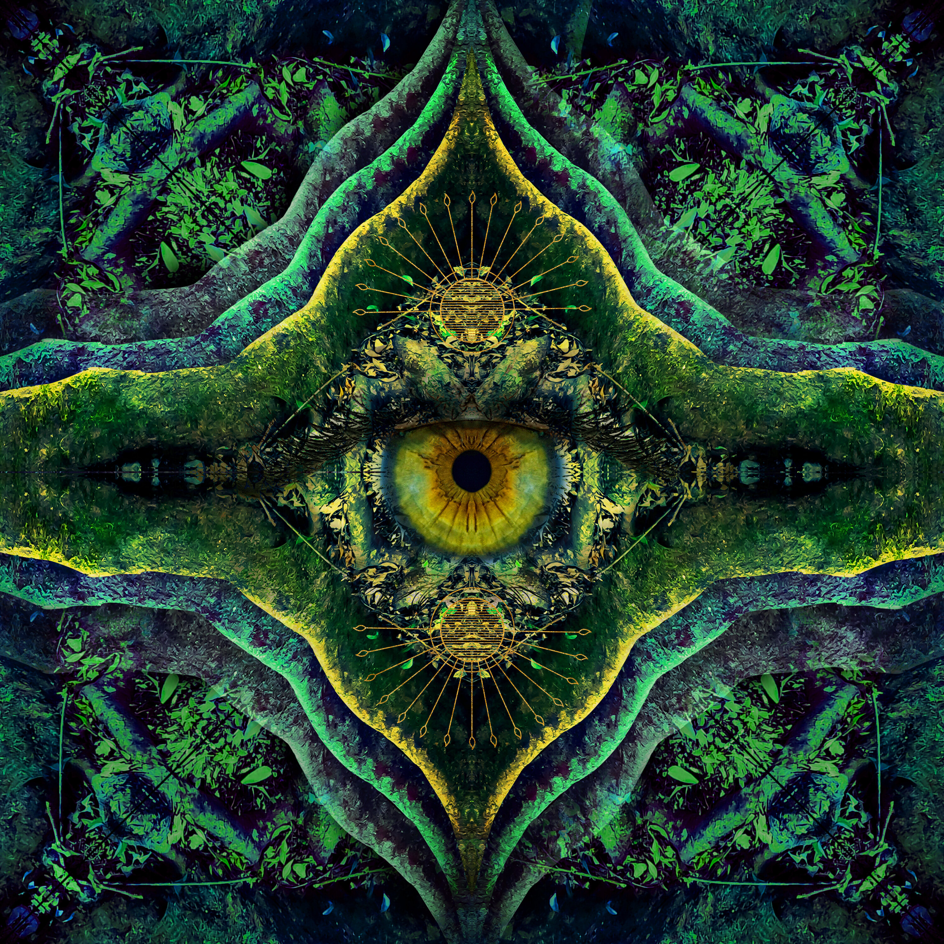 Liquid Bloom