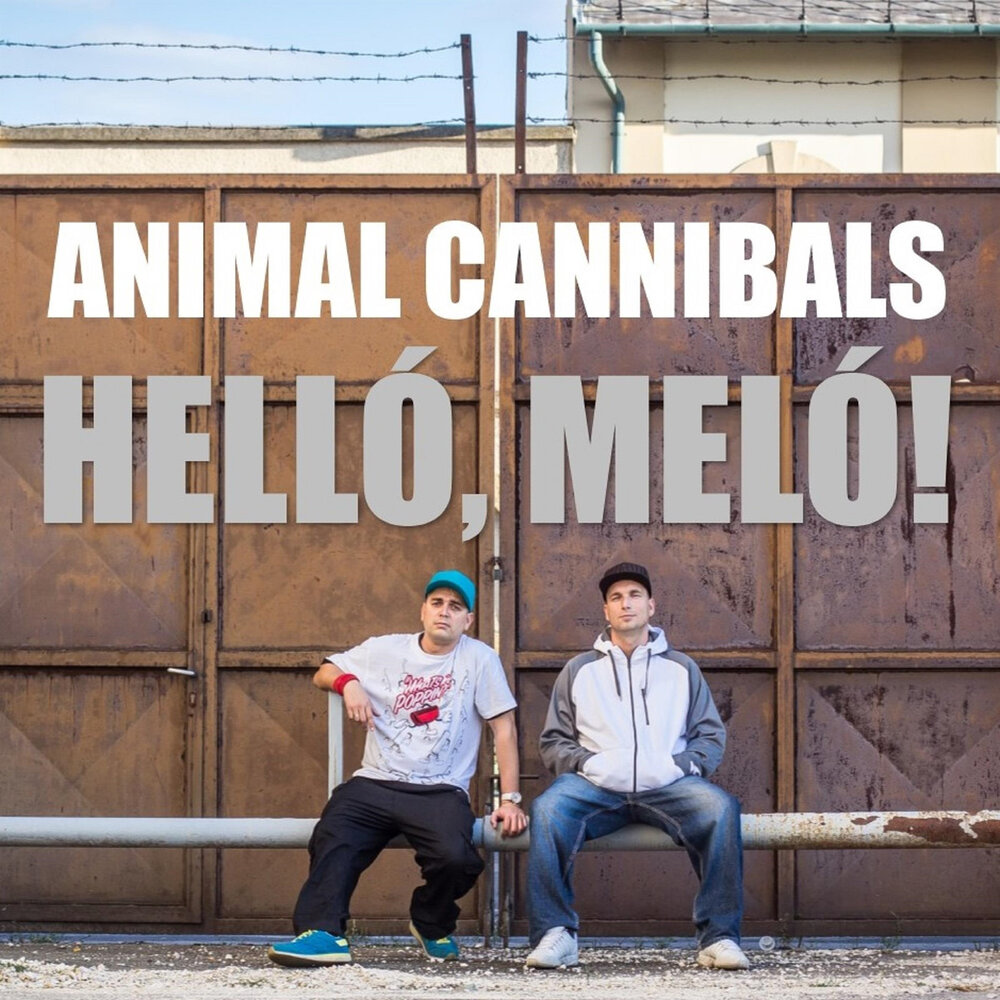Animal Cannibal трек. Каннибал Энимал каннибал песня.