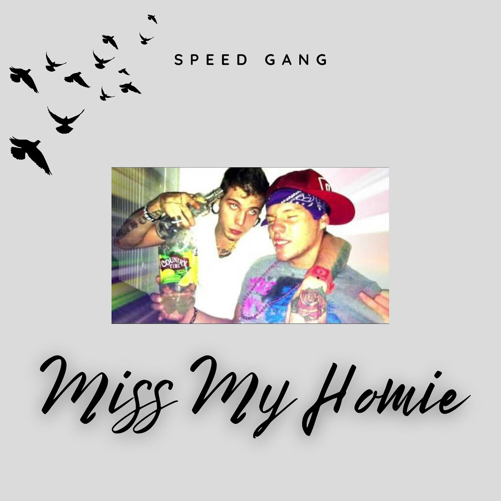 Песня miss you speed up. Альбом Miss. Speed gang. СПИД ганг. Speed Song мальчики.