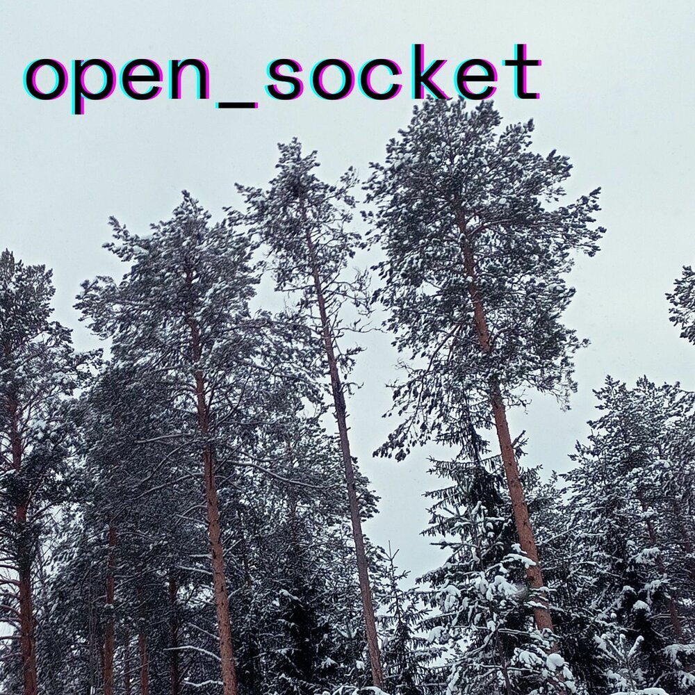 Open socket. Open socket