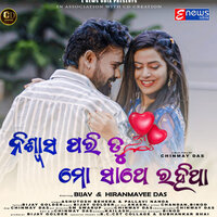 artist-cover