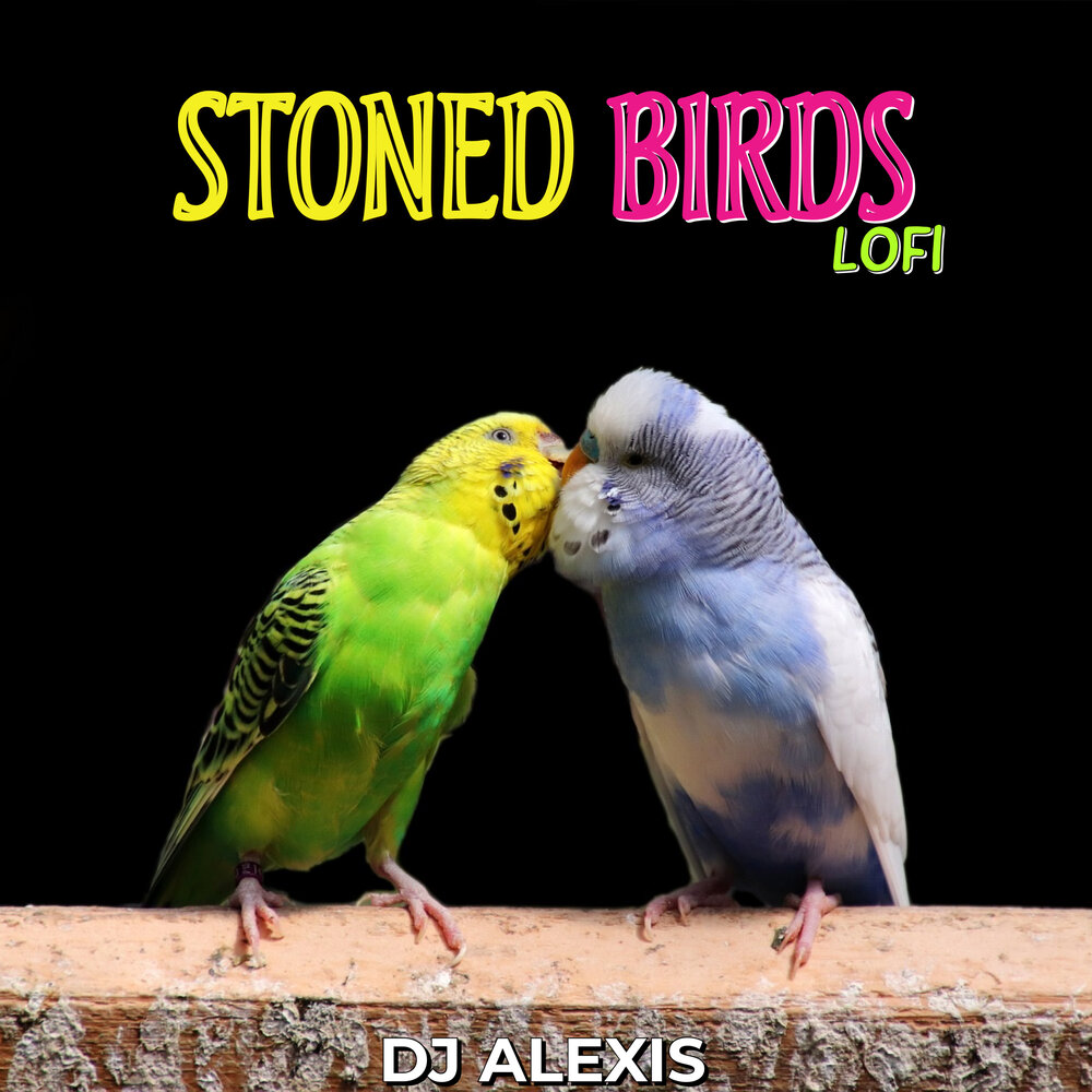 Stone birds