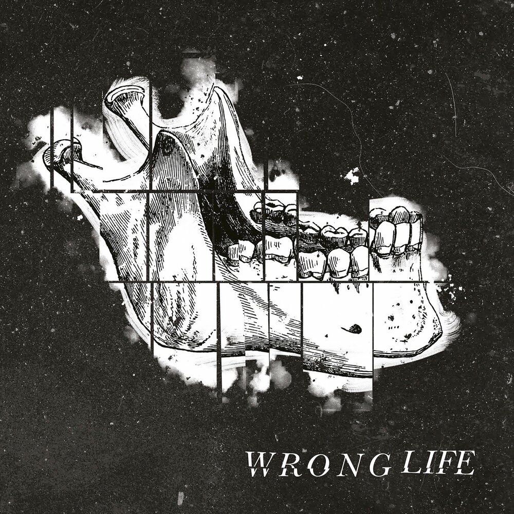 Wrong life alina mour