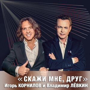 Владимир Лёвкин
