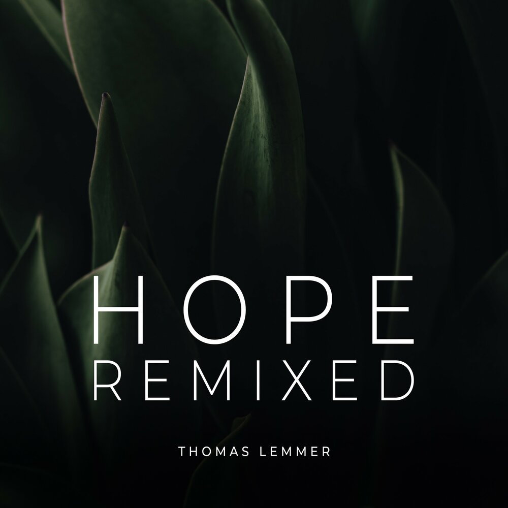 Hope remix. Thomas Lemmer, oine - confidence.