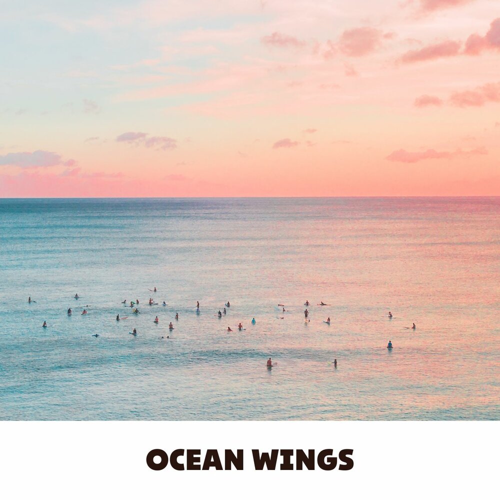 Ocean wings