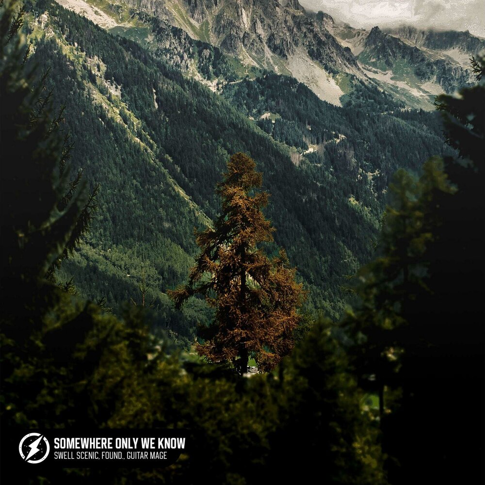 Found scenes. Found scenes. Драйв 2011. Dexter игры для пк. Found scenes.