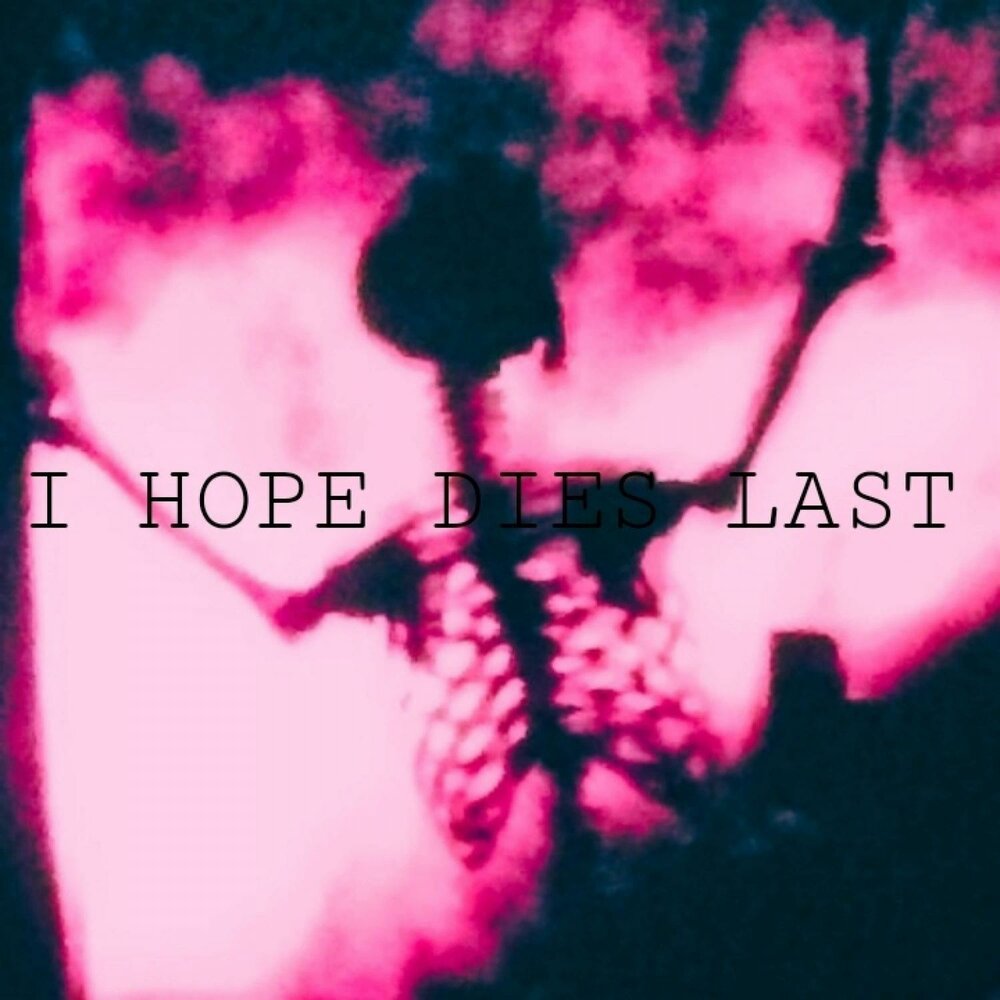 My dying hope. Hopes die last. I hope you die in a Fire.