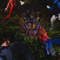 artist-cover