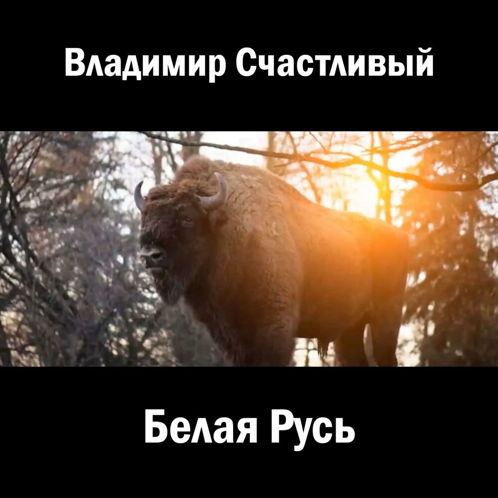 Песня белая русь