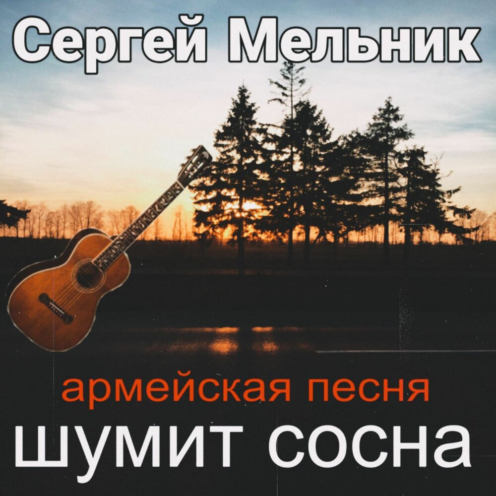 Шумит сосна