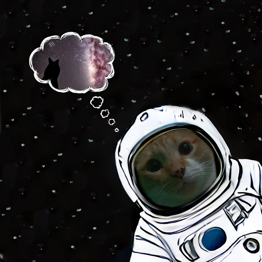 Öziñ dosm. Dosm org. Dosm orig. Dosm org. “dosm - özīñ”.