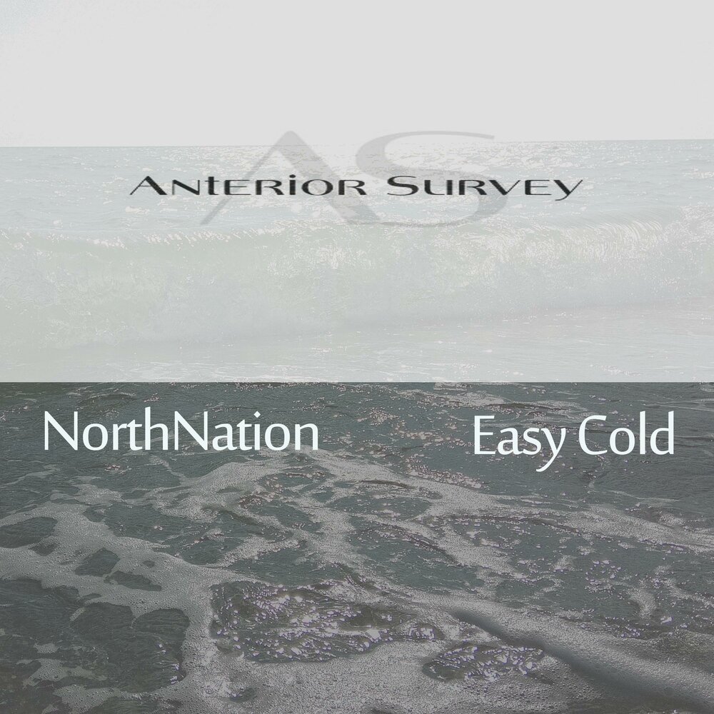 Cold brew с лимоном. Cold lunch 2.