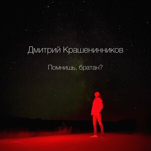 Помнишь, братан?