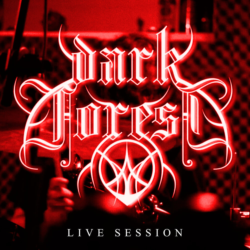 Dark live 18. Dark Live. Dark Forest records. Into Darkness (album).